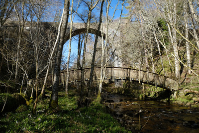 Walk photo