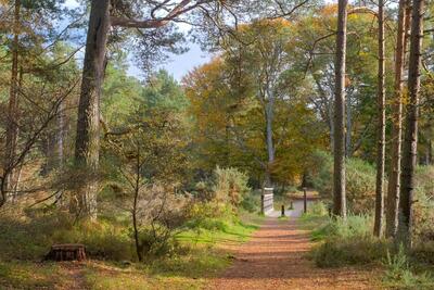 Walk photo