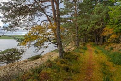 Walk photo
