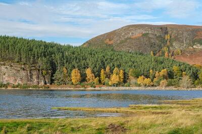 Loch Fleet and Balblair Wood