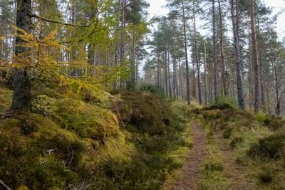 Walk photo