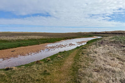Walk photo