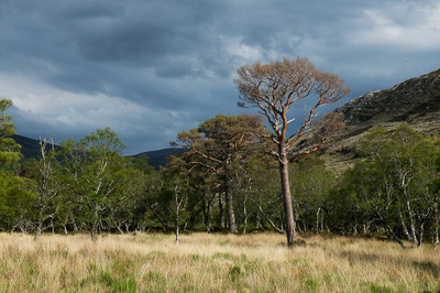 Walk photo