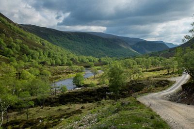 Walk photo