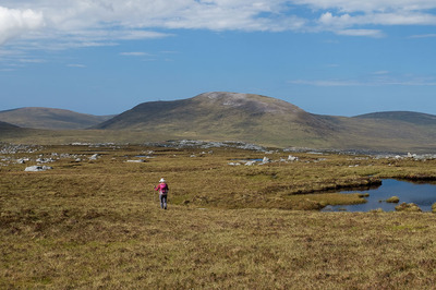 Walk photo