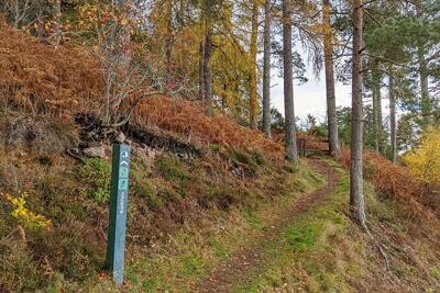 Walk photo