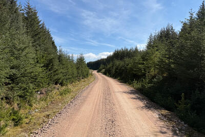 Walk photo