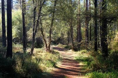 Walk photo