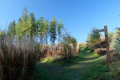 Walk photo
