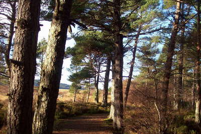 Walk photo