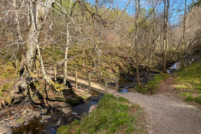 Walk photo