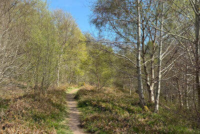 Walk photo