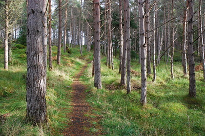 Walk photo