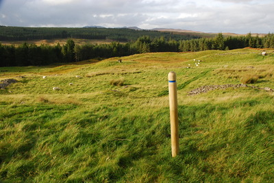 Walk photo