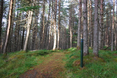 Walk photo