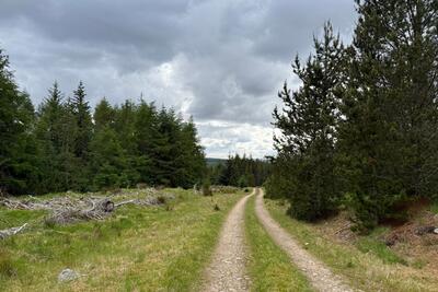 Walk photo