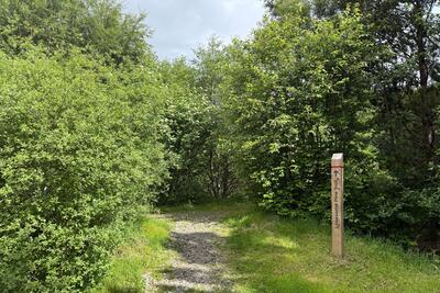 Walk photo