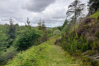 Walk photo