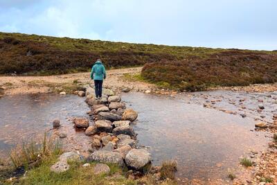 Walk photo