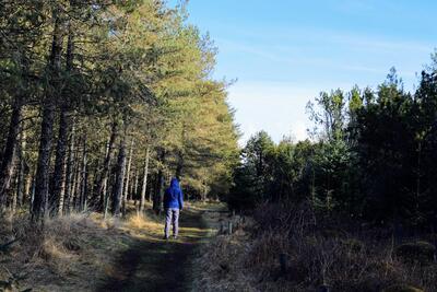 Walk photo