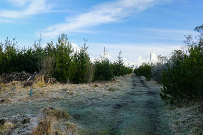 Walk photo