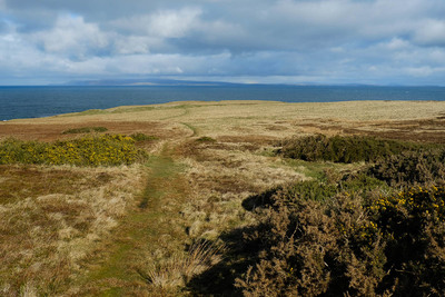 Walk photo