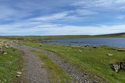 Walk photo