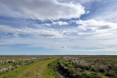 Walk photo