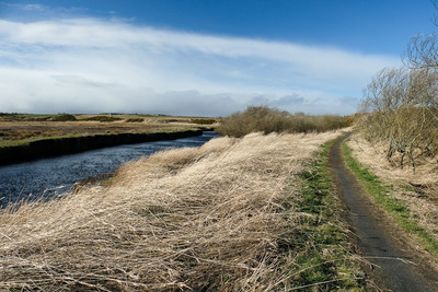 Walk photo