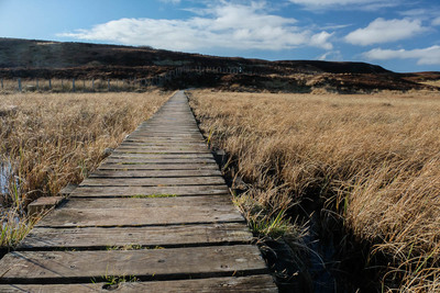 Walk photo