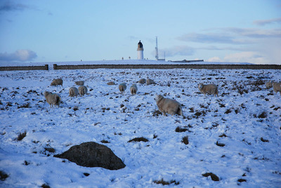 Walk photo