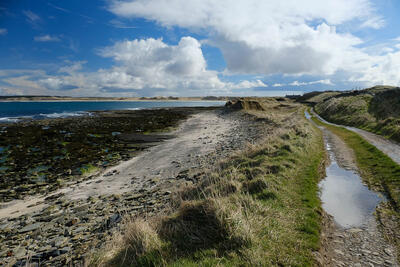 Walk photo