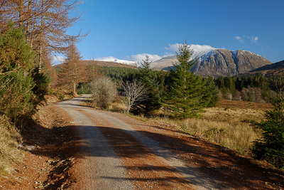 Walk photo