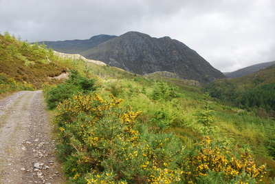 Walk photo