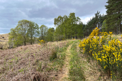 Walk photo