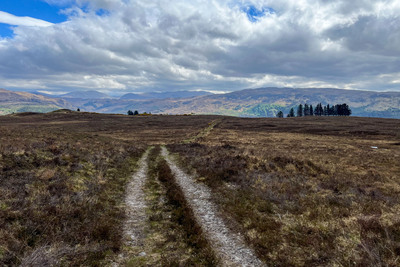 Walk photo