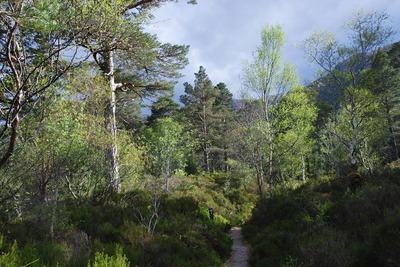 Walk photo