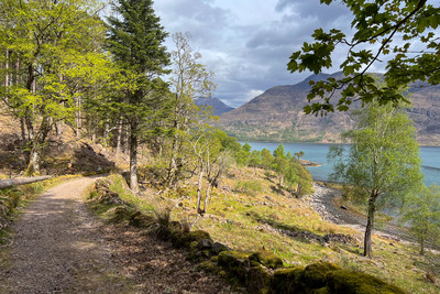 Walk photo
