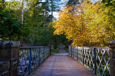Walk photo
