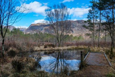 Walk photo