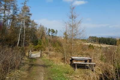 Walk photo
