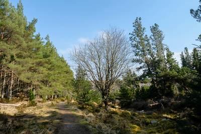 Walk photo