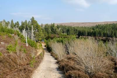 Walk photo