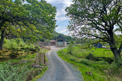 Walk photo