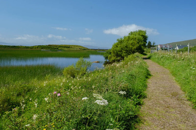 Walk photo