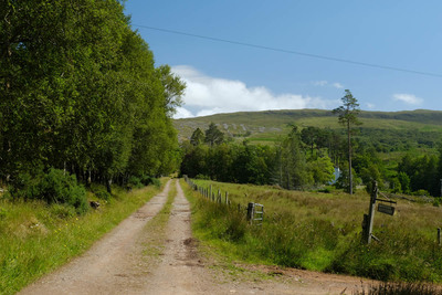 Walk photo