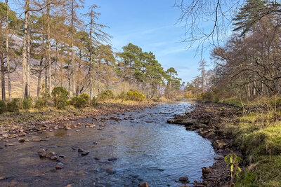 Walk photo