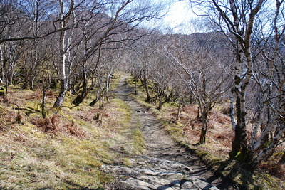 Walk photo