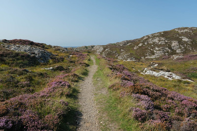 Walk photo