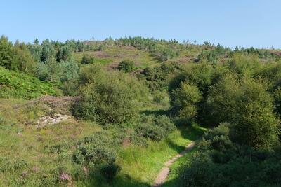 Walk photo